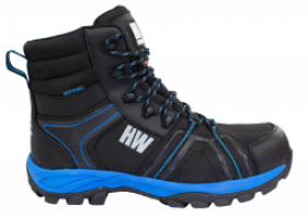 Botin Seguridad HW